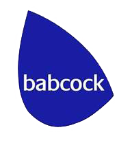 babcock international group